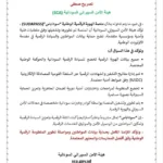 الهيئة السودانية للأمن السيبراني تؤكد أمان منصة الهوية الرقمية الوطنية سوداباس.
