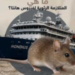 رسو السفينة المتضررة المتوقع اليوم في إسبانيا وانتشار حالات فيروس هانتا بين ركابها.