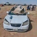 الجمل يسقط على سيارة في اصطدام مروع شهدته عطبرة