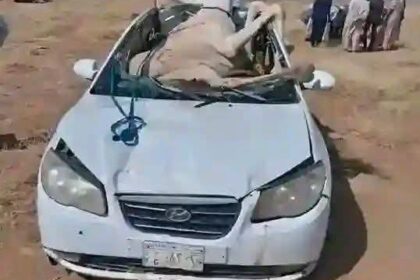الجمل يسقط على سيارة في اصطدام مروع شهدته عطبرة