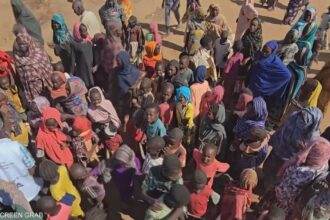 السودان يتصدر قائمة أشد دول العالم عرضة لخطر الجوع الحاد.