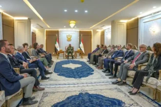 العملية السياسية شأن سوداني خالص ينبغي توجيهه من داخل البلاد.