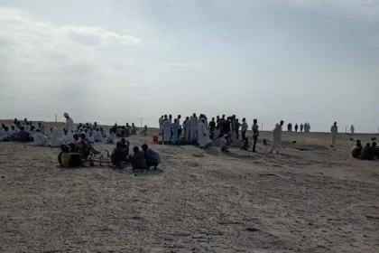 أخبار