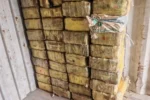 القوات السودانية تضبط نصف طن آيس مدفون في غابة جنوب طوكر القادم من اليمن.