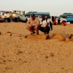 الأشجار المتحجرة في الـ90 الأثرية ظاهرة جيولوجية طبيعية لا تنطوي على ندره.