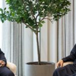 الشيخ محمد بن زايد يلتقي وزير الخارجية السوري ويبحث العلاقات الثنائية والتطورات الإقليمية