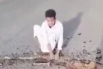 المدير العام للطرق والجسور يوجه باتخاذ إجراءات قانونية ضد منكسر الزلط على الطريق القومي.