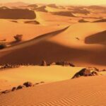 وفاة 49 شخصا في الصحراء النيجرية بعد تعطل مركبتهم وعدم قدرتهم على النجاة