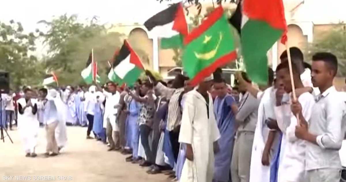 دعوات لمفتش في موريتانيا بعد تقارير بتهمة تنظيم الإخوان بجمع أموال غزة المقدرة بـ400 مليون دولار