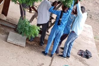 وفاة طالبة جامعية ببئر مياه داخل داخليتها بسنجة