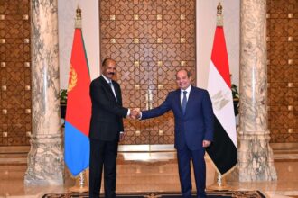 الرئيسان المصري والإريتري يبحثان مستجدات السودان والتطورات الإقليمية وسبل تعزيز التعاون المشترك