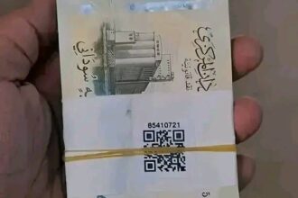 وزارة المالية بولاية الجزيرة تبدأ صرف منحة رئيس الوزراء للمعلمين.