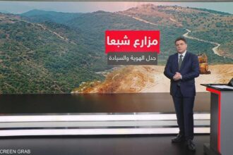 ملف مزارع شبعا يتطلب توضيحاً جغرافياً وسياسياً في ظل التفاوض على الحدود اللبنانية السورية والجنوب اللبناني