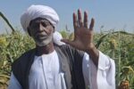 ترك يتراجع عن تفويض البرهان ويخوض معركة مع والي كسلا بعد صعوده السياسي الذي ترتب على دوره في إسقاط حمدوك.