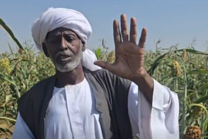 ترك يتراجع عن تفويض البرهان ويخوض معركة مع والي كسلا بعد صعوده السياسي الذي ترتب على دوره في إسقاط حمدوك.