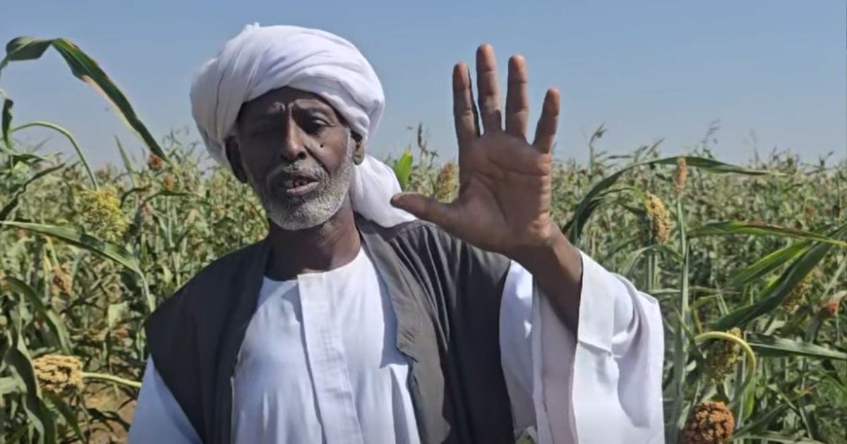 ترك يتراجع عن تفويض البرهان ويخوض معركة مع والي كسلا بعد صعوده السياسي الذي ترتب على دوره في إسقاط حمدوك.