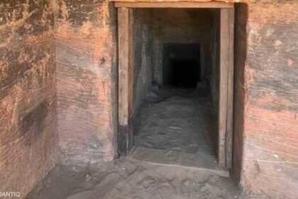 اكتشاف نقوش هيروغليفية وعناصر أثرية جديدة في جبانة منف القديمة.