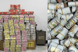 القضاء يسترد مئات المليارات والمصوغات والقصور في قضية فساد نفطي ضخمة