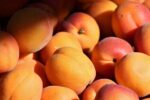 فوائد المشمش الصحية المتعددة للبشرة والقلب والهضم والأمعاء.