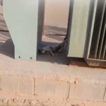 قطة تتسبب في انقطاع الكهرباء عن أحياء مدينة وادي حلفا لساعات.