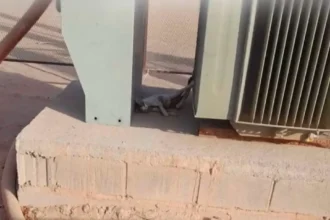 قطة تتسبب في انقطاع الكهرباء عن أحياء مدينة وادي حلفا لساعات.