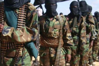 الخسائر الكبيرة والصراع على الخلافة يضربان تنظيم داعش في غرب أفريقيا