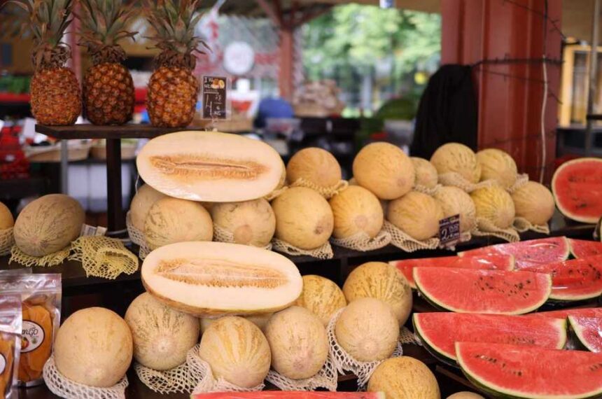 البطيخ والشمام: مقارنة بين الفوائد الصحية والترطيب.