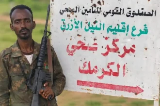 القوات المسلحة تُحرر مدينة الكرمك في النيل الأزرق.