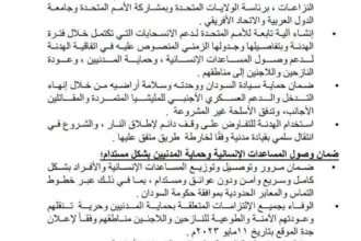 الجيش السوداني يفرض شروطاً لقبول المقترح الأمريكي لوقف الحرب في دارفور وكردفان.