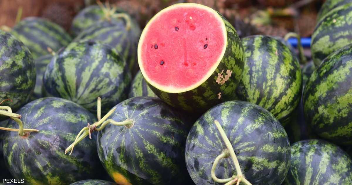 إهمال غسل قشرة البطيخ قبل تقطيعه يعرضه لخطر التلوث البكتيري