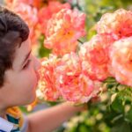 فقدان الشم دليل مبكر على أمراض الدماغ التنكسية مثل ألزهايمر وباركنسون