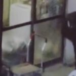الدببة تهاجم منازل في شمال اليابان وتبحث عن طعام