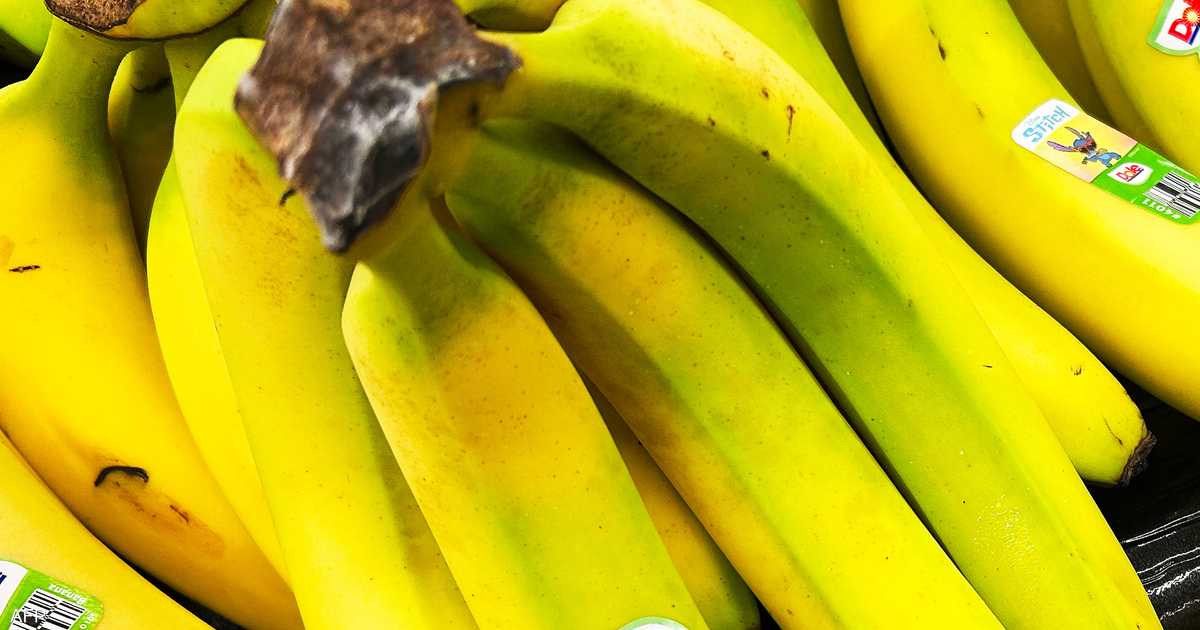 متى يصبح البوتاسيوم خطراً على مريض الكلى؟