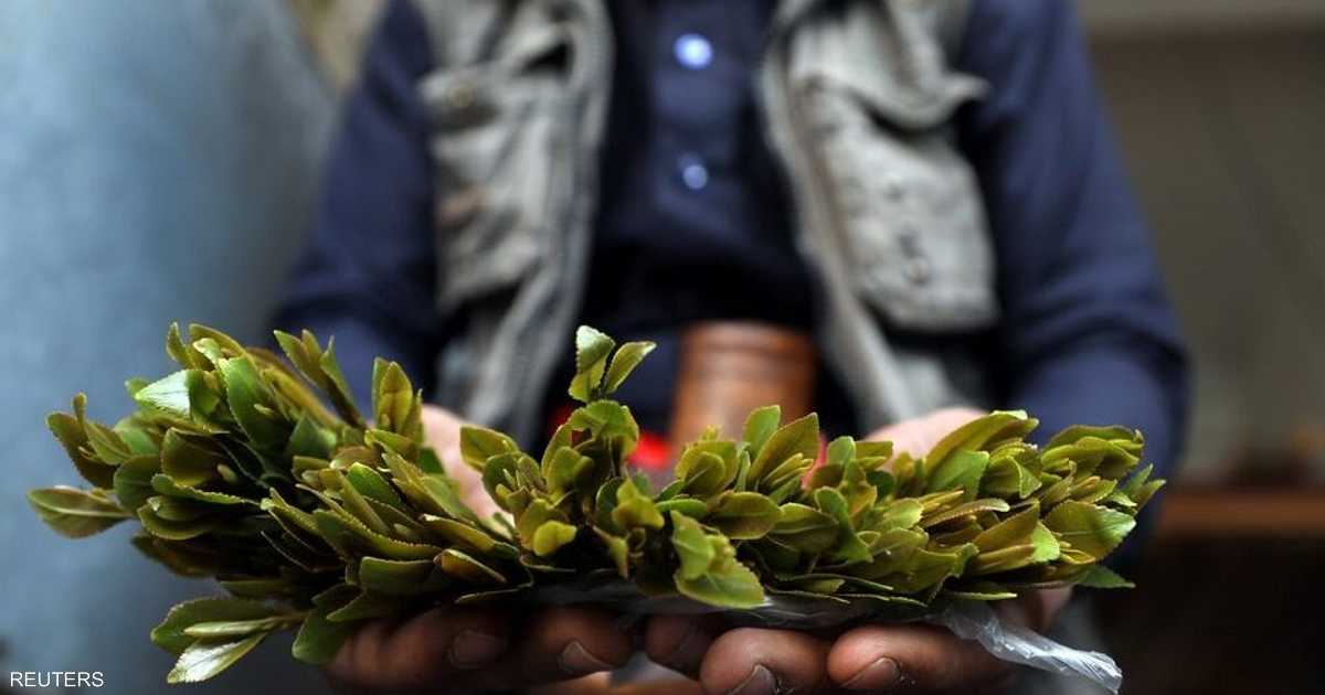 السويسري المتهم بنقل القات يستدعى للمحكمة في فرنسا