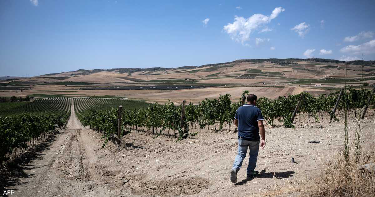 تحقيقات في إيطاليا بعد شكوى عمال مغاربة بظروف عمل قاسية في صقلية