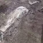 الأمطار الغزيرة تسبب تجريف مقابر في القضارف و ظهور جثامين على السطح