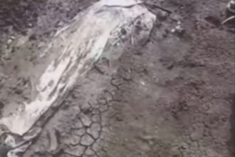 الأمطار الغزيرة تسبب تجريف مقابر في القضارف و ظهور جثامين على السطح