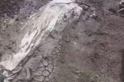 الأمطار الغزيرة تسبب تجريف مقابر في القضارف و ظهور جثامين على السطح