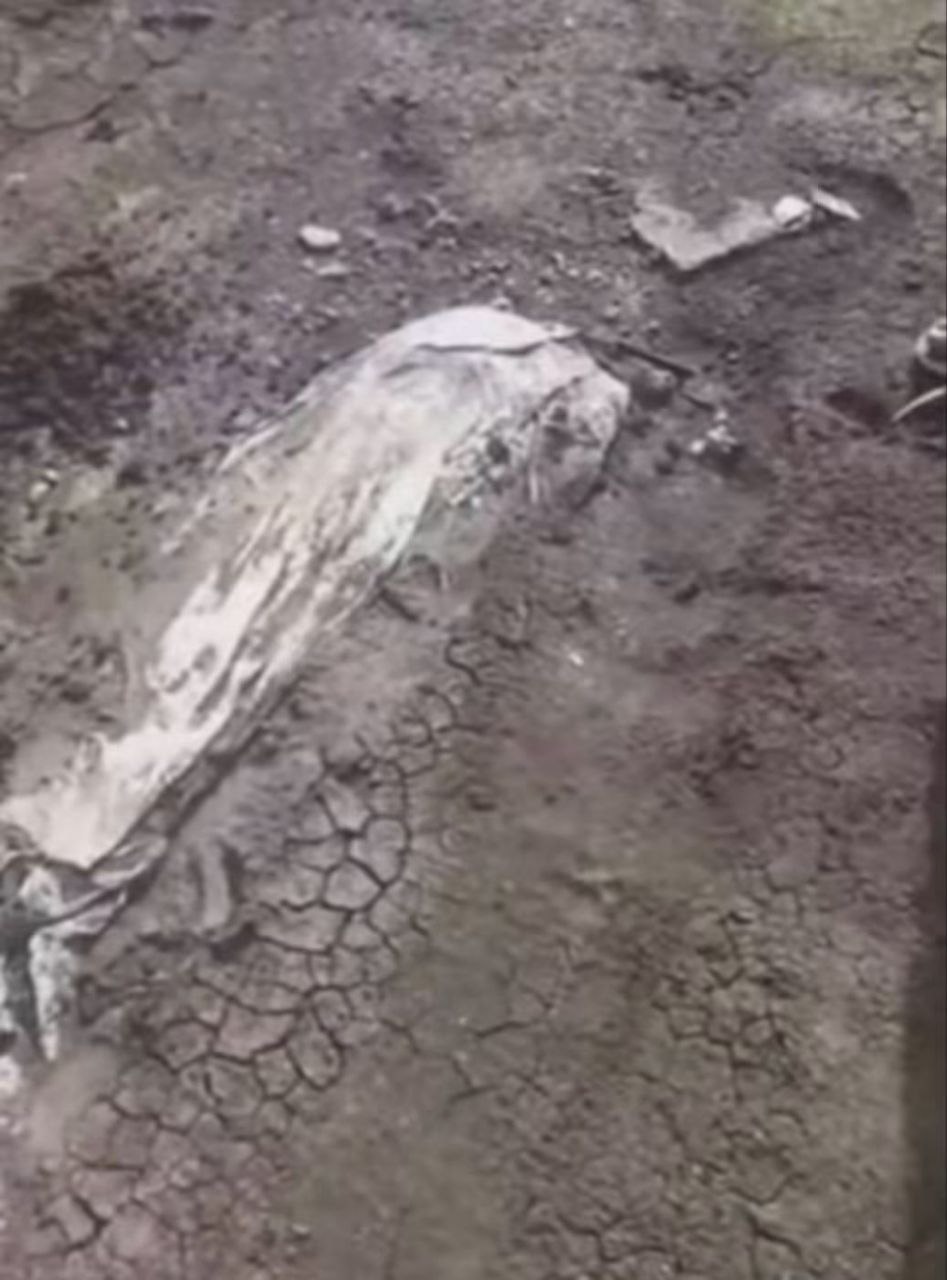 الأمطار الغزيرة تسبب تجريف مقابر في القضارف و ظهور جثامين على السطح
