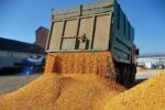 شحنة قمح فرنسي إلى السودان تكسر جموداً دام 18 عاماً