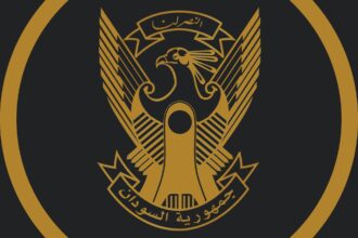 الحظر السلاحي يوفر تمكناً للانتهاكات في السودان.