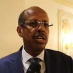 القلق الأفريقي إزاء ضربات جوية داخل تشاد من النزاع السوداني