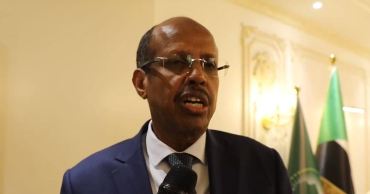 القلق الأفريقي إزاء ضربات جوية داخل تشاد من النزاع السوداني