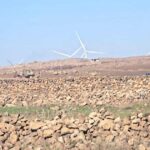 الخسارة تتجاوز المحصول لتلحق أضراراً دائمة بالزراعة في القنيطرة