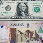 الجنيه السوداني يفقد أكثر من 90% من قيمته وسعر الدولار يتجاوز 6300 جنيه في السوق الموازية