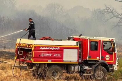 الحماية المدنية الجزائرية تسيطر على 110 حرائق خلال 24 ساعة الأخيرة