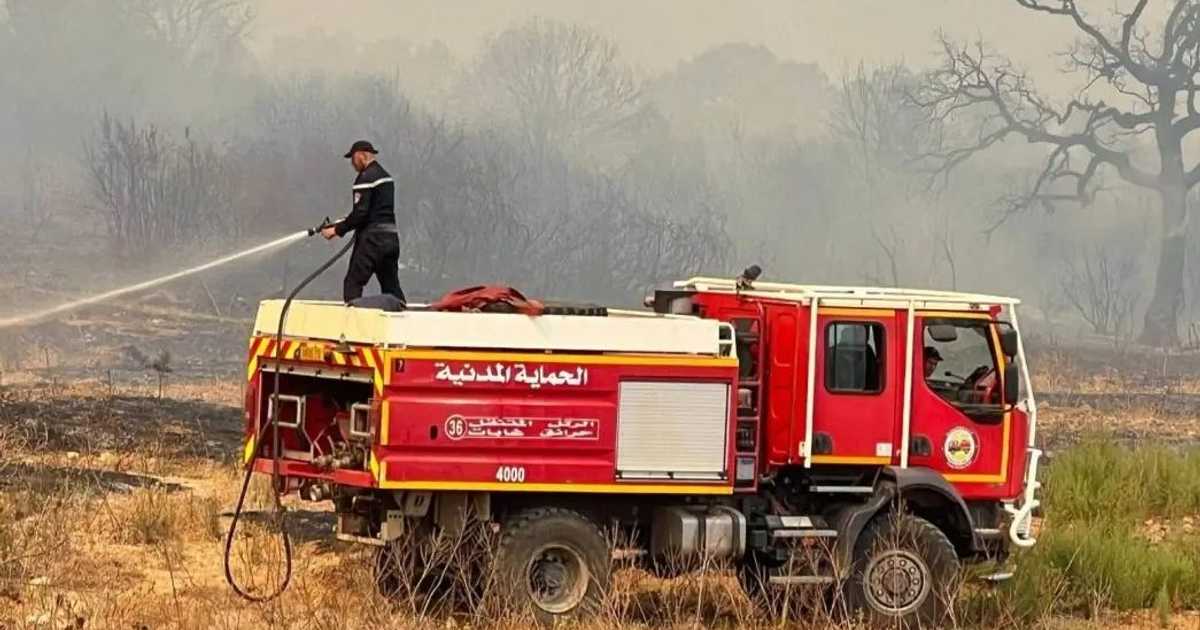 الحماية المدنية الجزائرية تسيطر على 110 حرائق خلال 24 ساعة الأخيرة