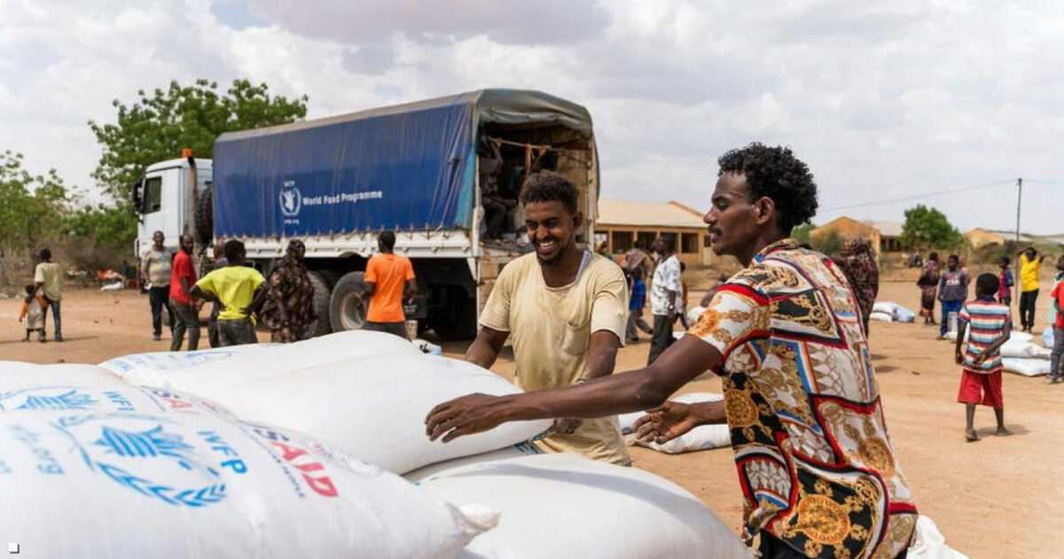 السودان: نحو 19.5 مليون شخص يعانون انعدام أمن غذائي حاد وسط مخاوف من سوء تغذية الأطفال ووفيات متزايدة