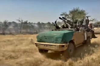 الجيش السوداني يدفع قوات عسكرية كبيرة نحو كردفان لتحرير المناطق المحتلة.