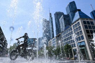 ارتفع إجمالي الوفيات المرتبطة بالحر هذا العام بألمانيا إلى نحو 11,900 حالة.